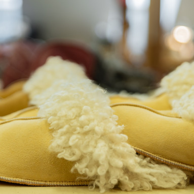 Wool and Leather Industry